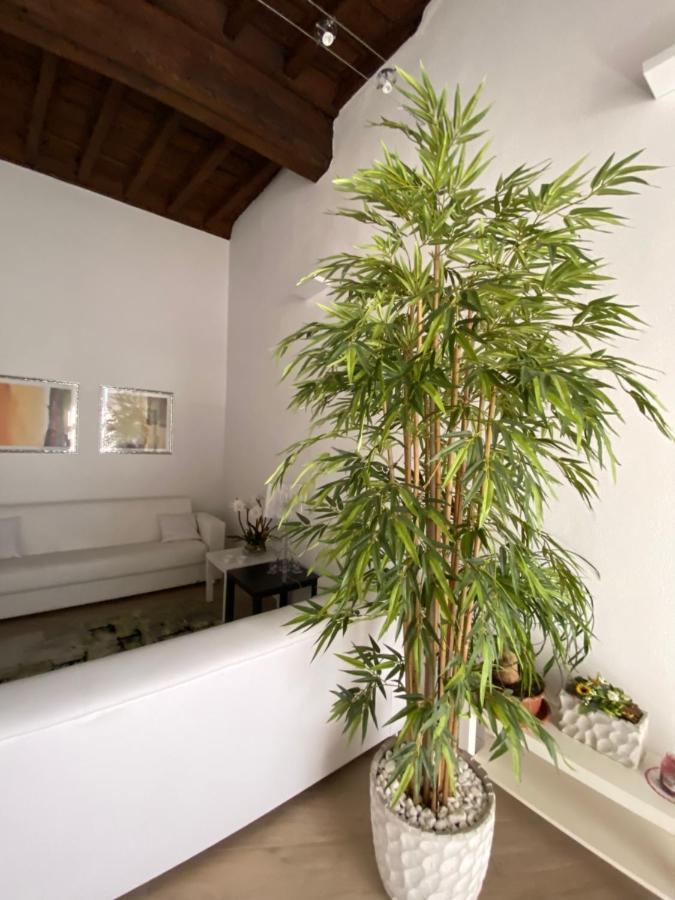 Suite Saffi 99 Viterbo Exterior foto